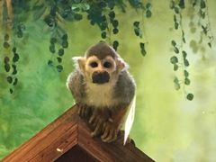 -华夏文旅西安度假区