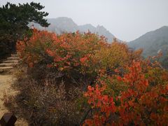 -云峰山自然风景区