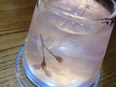 樱花青柠气泡水-樱宿日式和牛烧肉(五道口店)