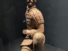 -陕西历史博物馆