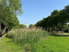 -长广溪湿地公园