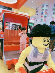 -乐高品牌旗舰店(人民广场店)