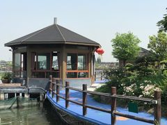 -鹅湖玫瑰文化园