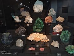 -烟台自然博物馆