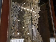 -延福橄榄(三坊七巷店)