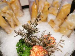 -汤城·料青山