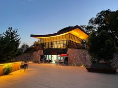 -飞凤山奥体公园
