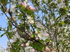 -野鸭湖国家湿地公园