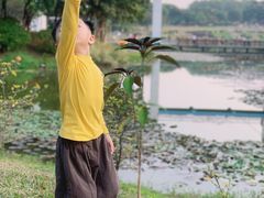 -东莞植物园
