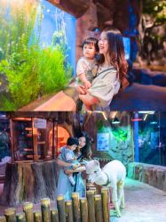 -宝燕乐园(闵行旗舰店)