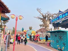 -九龙湖公园