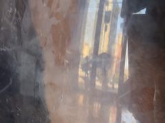 -宠爱国际动物医院·疑难骨科·心肾内科·皮肤科(太阳宫店)