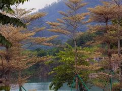 -水濂山森林公园