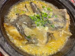 -好爸爸(印象城旗舰店)