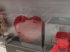 -ROSEONLY诺誓(国际广场购物中心店)
