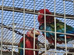 -石家庄市动物园