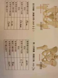 -大美臻喜母婴(重庆创始店)