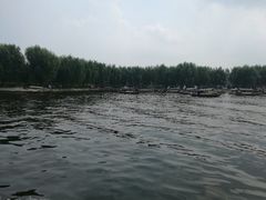 景点-白洋淀景区