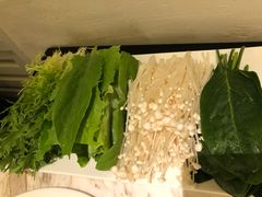 -汤城·料青山