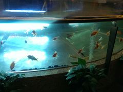 -中影国际影城(兰生大厦CINITY LED店)