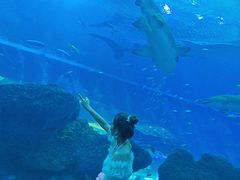 -成都浩海立方海洋公园