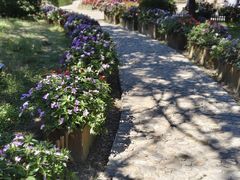 -庐山风景区花径公园