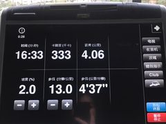 -天行健身＆天行拳馆跆拳道·格斗TXGYM