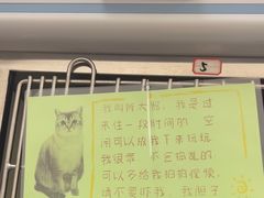 -瑞派康怡24h宠物医院·犬猫医疗中心·微创绝育(瑞景分院)