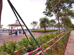 -洲头咀公园