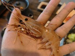 -田舍家Inakaya·炉端烧·铁板烧(天汇igc店)