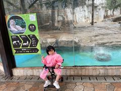 -灵玲国际马戏城