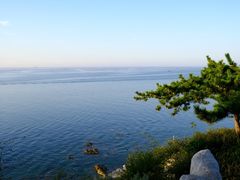 -养马岛旅游度假区