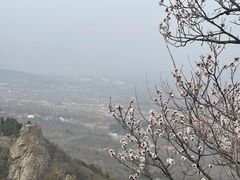 -北京鹫峰国家森林公园
