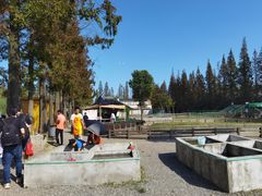 -前小桔亲子创意农场·草莓采摘·露营烧烤