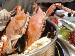 -半岛听涛蒸汽海鲜自助(K11店)
