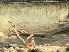 -常州淹城野生动物世界