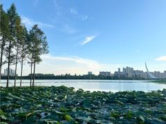 -金银湖国家城市湿地公园