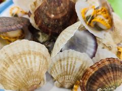 -沿海渔家院蒸汽海鲜·东北菜(东戴河店)