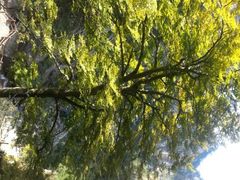 android_upload_pic-大明山自然探索公园