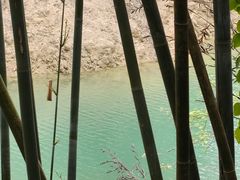 -广州市流溪河国家森林公园