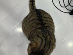 -Best U照相馆证件照(南京西路店)
