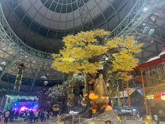 -东方山水乐园山之王国(全室内)