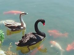 -白马涧龙池景区