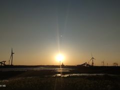 -启东黄金海滩景区