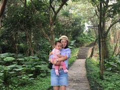 -福建鲤鱼洲酒店