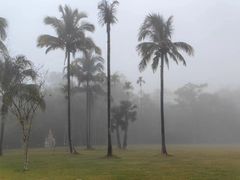 -西双版纳原始森林公园