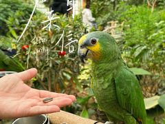 -南宫五洲植物乐园