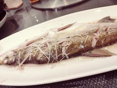 太湖大白鱼-江南原著(中联广场店)