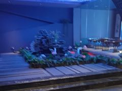 -陆琴脚艺·足浴·SPA(夫子庙店)