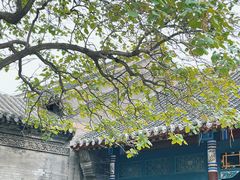 -张学良旧居陈列馆
